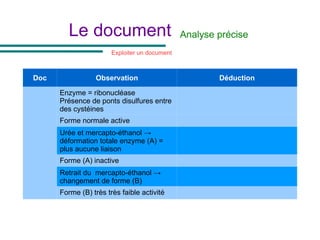 Le document Analyse précise
Doc Observation Déduction
Enzyme = ribonucléase
Présence de ponts disulfures entre
des cystéines
Forme normale active
Urée et mercapto-éthanol →
déformation totale enzyme (A) =
plus aucune liaison
Forme (A) inactive
Retrait du mercapto-éthanol →
changement de forme (B)
Forme (B) très très faible activité
Exploiter un document
 