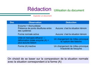 Rédaction Utilisation du document
Doc Observation Déduction
Enzyme = ribonucléase
Présence de ponts disulfures entre
des cystéines
Aucune: c'est la situation témoin
Forme normale active Aucune: c'est la situation témoin
Urée et mercapto-éthanol →
déformation totale enzyme (A) =
plus aucune liaison
Un changement de milieu provoque
la rupture des liaisons
Forme (A) inactive Un changement de milieu provoque
l'inactivité de l'enzyme
Exploiter un document
On choisit de se baser sur la comparaison de la situation normale
avec la situation correspondant à la forme (A)
 