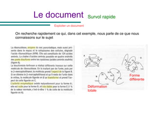Le document Survol rapide
On recherche rapidement ce qui, dans cet exemple, nous parle de ce que nous
connaissons sur le sujet
Déformation
totale
Exploiter un document
Forme
différente
 