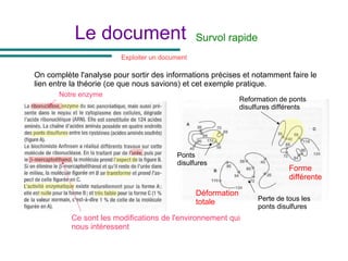 Le document
On complète l'analyse pour sortir des informations précises et notamment faire le
lien entre la théorie (ce que nous savions) et cet exemple pratique.
Ce sont les modifications de l'environnement qui
nous intéressent
Ponts
disulfures
Reformation de ponts
disulfures différents
Perte de tous les
ponts disulfures
Forme
différente
Déformation
totale
Notre enzyme
Exploiter un document
Survol rapide
 