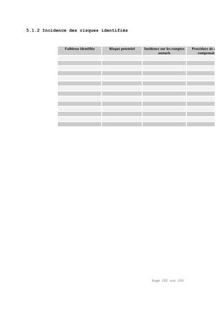 Page 282 sur 282
5.1.2 Incidence des risques identifiés
Faiblesse identifiée Risque potentiel Incidence sur les comptes
annuels
Procédure de contr
compensatoire
 