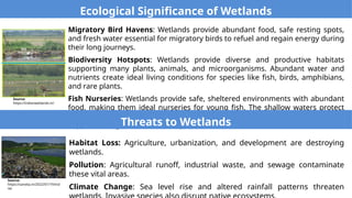Methodologies of Wetland Mapping using RS | PPTX