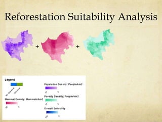 Reforestation Suitability Analysis

      +        +
 
