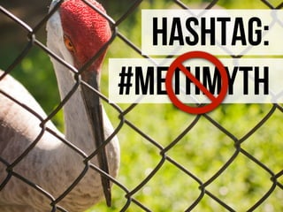 hashtag:
#methmyth
 