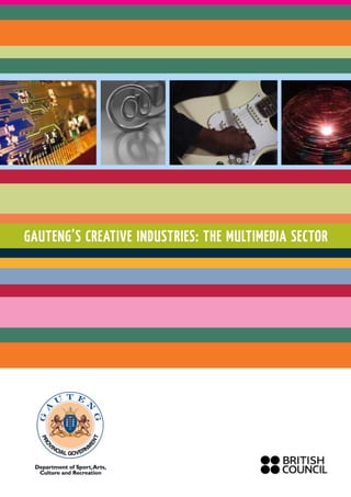 GAUTENG’S CREATIVE INDUSTRIES: THE MULTIMEDIA SECTOR
 