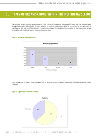 G A U T E N G M A P P I N G R E P O R T l A N A N A L Y S I S O F G A U T E N G ’ S C R E A T I V E I N D U S T R I E S
TYPES OF ORGANISATIONS WITHIN THE MULTIMEDIA SECTOR; DEMOGRAPHICS
6 . TYPES OF ORGANISATIONS WITHIN THE MULTIMEDIA SECTOR
The multimedia sector is dominated by micro businesses (58%). A further 36% employ 5 to 19 people and 6% employ more than 20 people. Figure
3 shows the distribution of firms by size. The size is defined by the number of people employed within the surveyed firm. For those with access to
capital and the skills to be part of this sector, entry is relatively easy. Many of these small businesses are part of the value-chain in other sectors
including the audio-visual sector and the information technology sector.
Figure 3:	 Distribution by organisation size
Figure 4 shows that the majority (64%) of surveyed firms are registered as close corporations, the remainder (36%) are registered as Limited
Companies.
Figure 4:	 Legal status of multimedia companies
70%
60%
50%
40%
30%
20%
10%
0%
Distribution by organisation size
Number of employees
Legal status
1 to 4 5 to 19 20 to 49 50+
Sole trader
CC
 