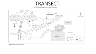 TRANSECT
 