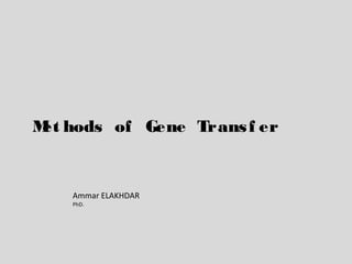 Met hods of Gene Transf er
Ammar ELAKHDAR
PhD.
 