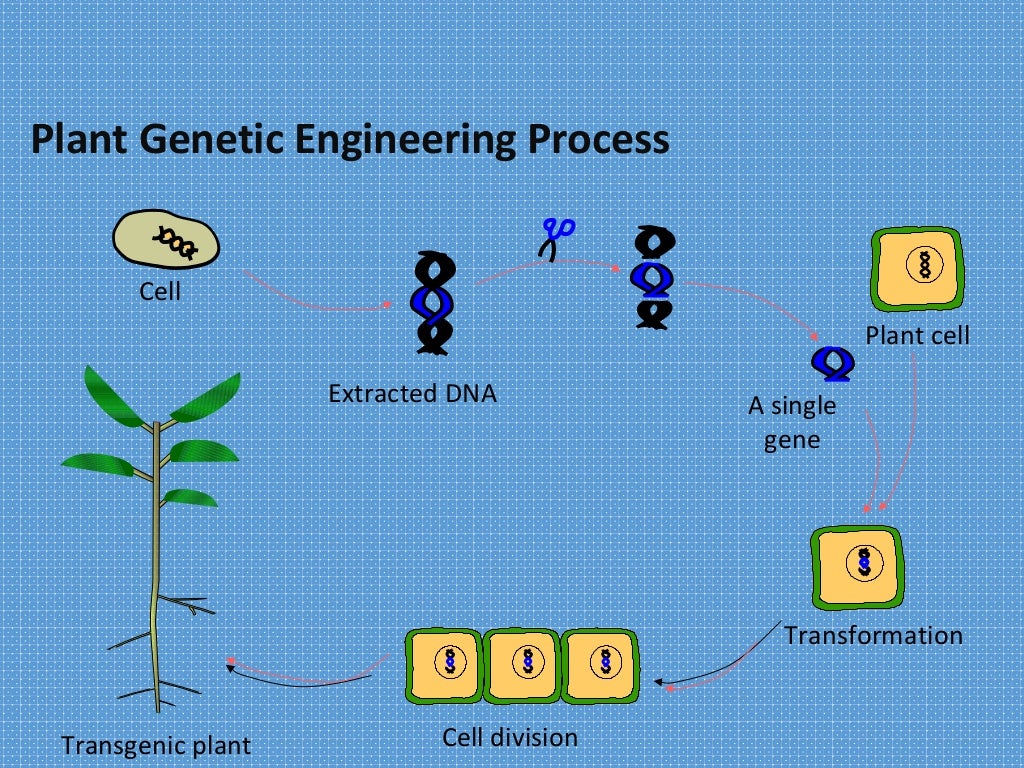 Methods of gene transfer