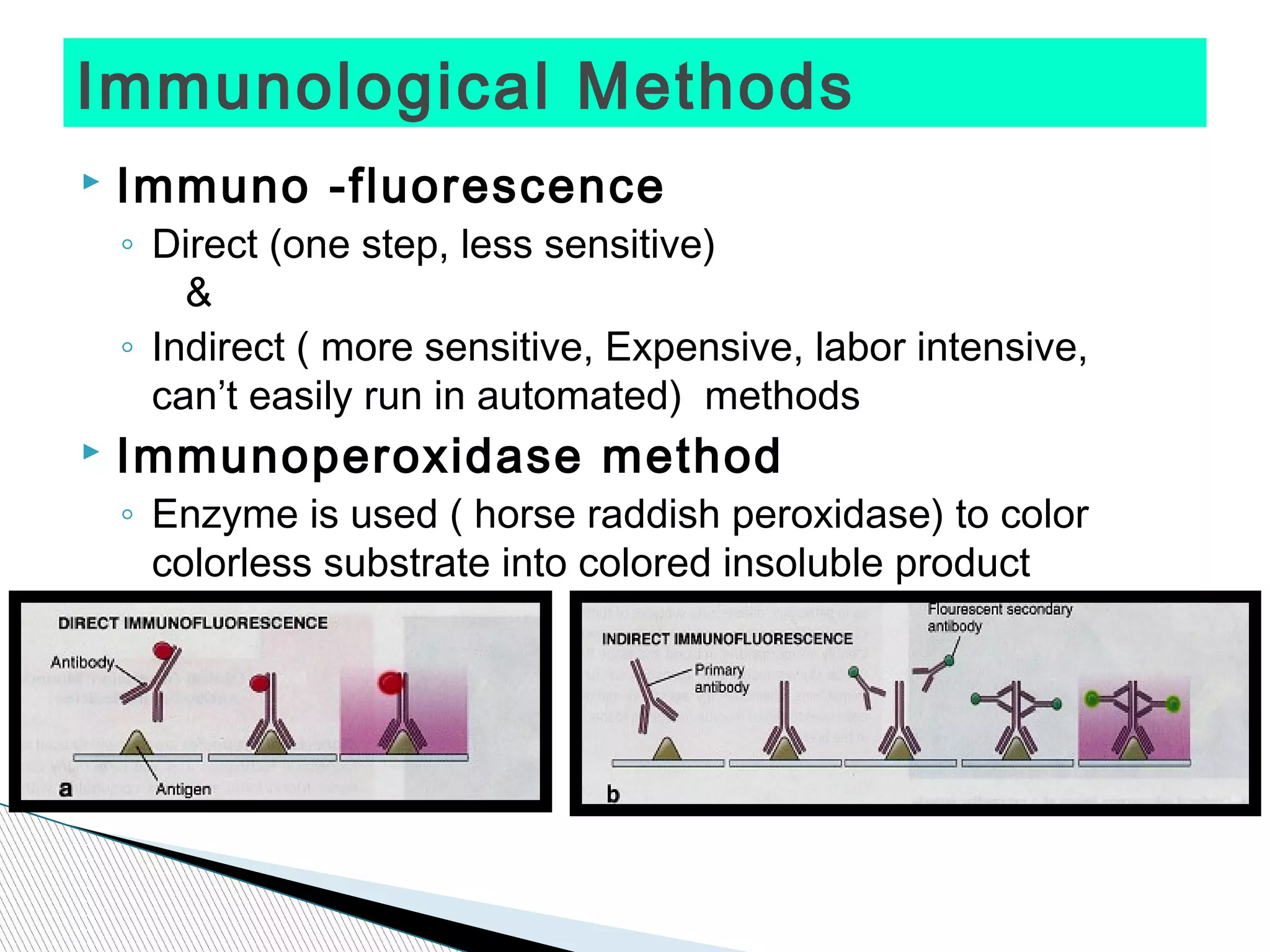Immunological Methods
   Immuno -fluorescence
    ◦ Direct (one step, less sensitive)
        &
    ◦ Indirect ( more sensitive, Expensive, labor intensive,
      can’t easily run in automated) methods
   Immunoperoxidase method
    ◦ Enzyme is used ( horse raddish peroxidase) to color
      colorless substrate into colored insoluble product
 