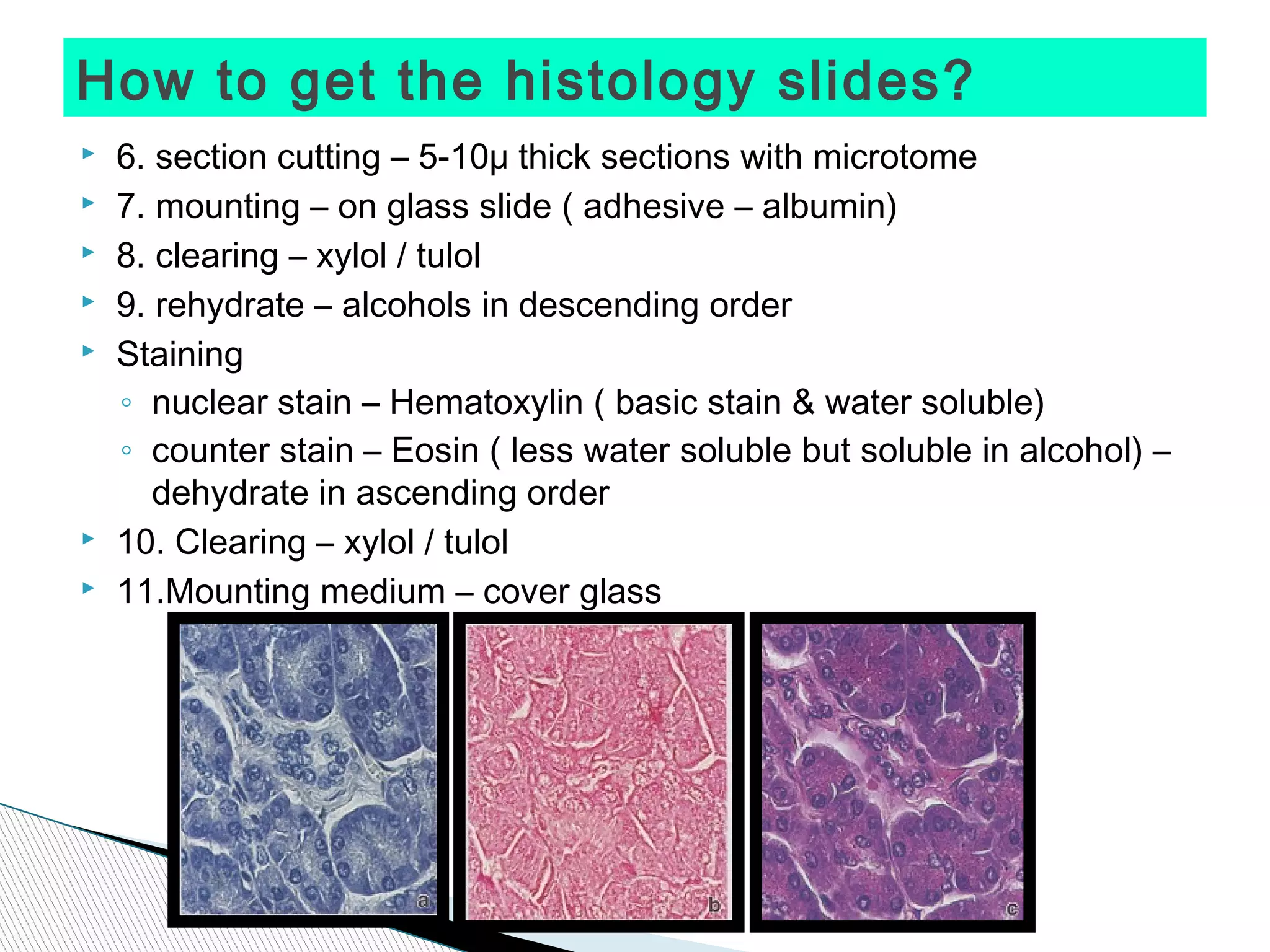How to get the histology slides?
   6. section cutting – 5-10μ thick sections with microtome
   7. mounting – on glass slide ( adhesive – albumin)
   8. clearing – xylol / tulol
   9. rehydrate – alcohols in descending order
   Staining
    ◦ nuclear stain – Hematoxylin ( basic stain & water soluble)
    ◦ counter stain – Eosin ( less water soluble but soluble in alcohol) –
       dehydrate in ascending order
   10. Clearing – xylol / tulol
   11.Mounting medium – cover glass
 