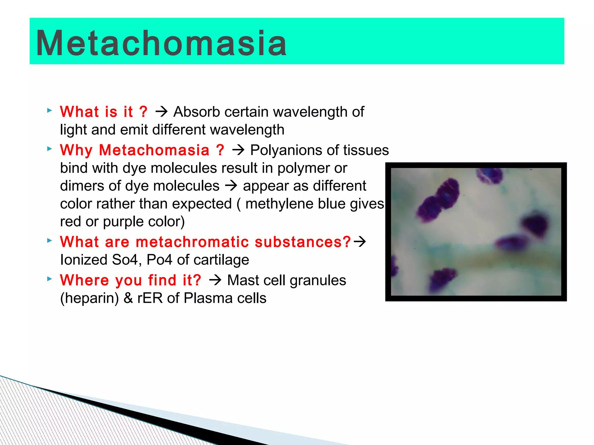 Metachomasia
   What is it ?  Absorb certain wavelength of
    light and emit different wavelength
   Why Metachomasia ?  Polyanions of tissues
    bind with dye molecules result in polymer or
    dimers of dye molecules  appear as different
    color rather than expected ( methylene blue gives
    red or purple color)
   What are metachromatic substances? 
    Ionized So4, Po4 of cartilage
   Where you find it?  Mast cell granules
    (heparin) & rER of Plasma cells
 