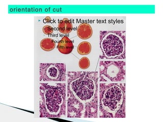 orientation of cut
            Click to edit Master text styles
             ◦ Second level
             ◦ Third level
                Fourth level
                  Fifth level
 