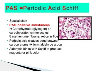 PAS =Periodic Acid Schiff

   Special stain
   PAS positive substances
    Carbohydrate (glycogen) or
    carbohydrate rich molecules,
    Basement membrane, reticular fibers
   Periodic acid cleaves bond between
    carbon atoms  form aldehyde group
   Aldehyde binds with Schiff to produce
    magenta or pink color
 