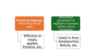 Methods 1 Propagation of Plants from Axillary Buds or Shoots.pptx