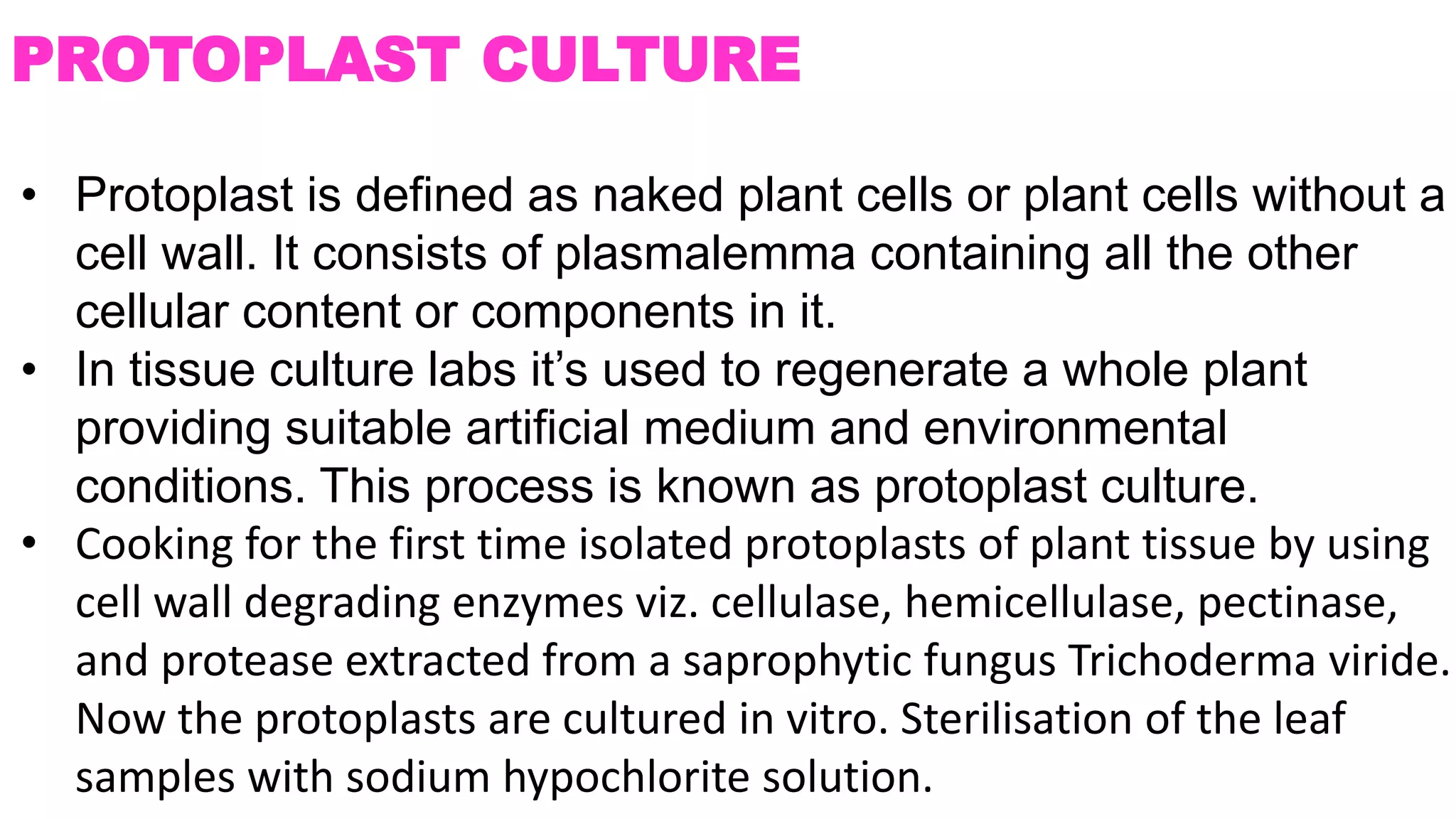 PROTOPLAST CULTURE
• Protoplast is defined as naked plant cells or plant cells without a
cell wall. It consists of plasmalemma containing all the other
cellular content or components in it.
• In tissue culture labs it’s used to regenerate a whole plant
providing suitable artificial medium and environmental
conditions. This process is known as protoplast culture.
• Cooking for the first time isolated protoplasts of plant tissue by using
cell wall degrading enzymes viz. cellulase, hemicellulase, pectinase,
and protease extracted from a saprophytic fungus Trichoderma viride.
Now the protoplasts are cultured in vitro. Sterilisation of the leaf
samples with sodium hypochlorite solution.
 