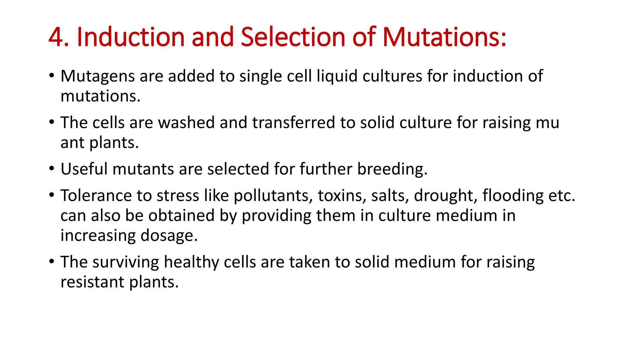4. Induction and Selection of Mutations:
• Mutagens are added to single cell liquid cultures for induction of
mutations.
• The cells are washed and transferred to solid culture for raising mu
ant plants.
• Useful mutants are selected for further breeding.
• Tolerance to stress like pollutants, toxins, salts, drought, flooding etc.
can also be obtained by providing them in culture medium in
increasing dosage.
• The surviving healthy cells are taken to solid medium for raising
resistant plants.
 