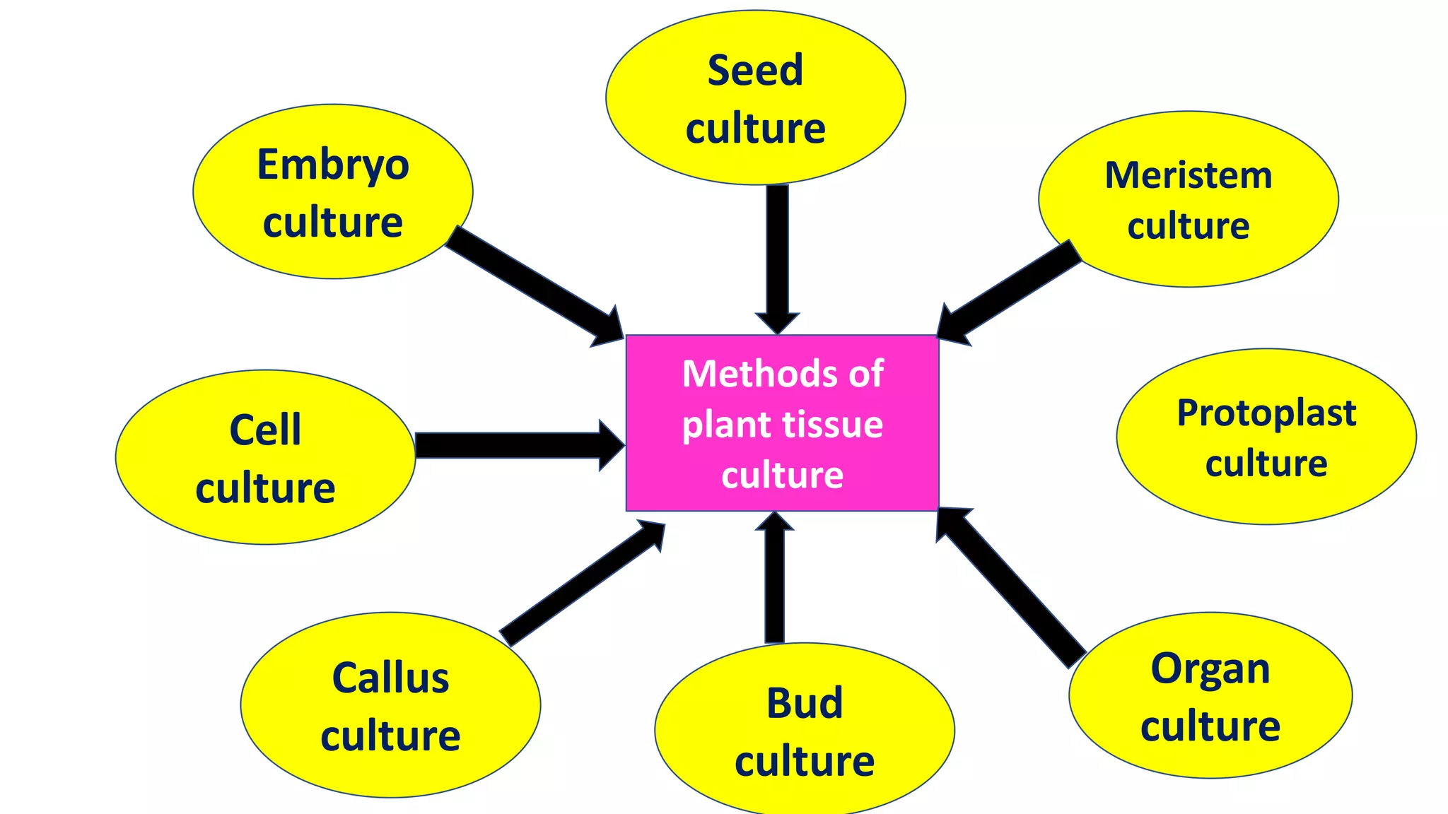 Embryo
culture
Cell
culture
Callus
culture
Seed
culture
Bud
culture
Meristem
culture
Protoplast
culture
Organ
culture
Methods of
plant tissue
culture
 
