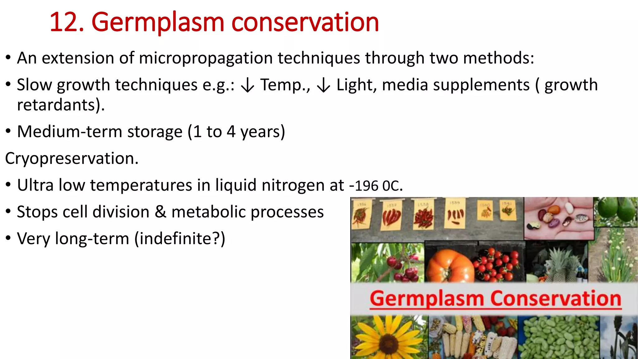 12. Germplasm conservation
• An extension of micropropagation techniques through two methods:
• Slow growth techniques e.g.: ↓ Temp., ↓ Light, media supplements ( growth
retardants).
• Medium-term storage (1 to 4 years)
Cryopreservation.
• Ultra low temperatures in liquid nitrogen at -196 0C.
• Stops cell division & metabolic processes
• Very long-term (indefinite?)
 