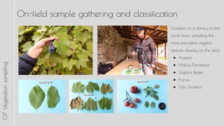 On-field sample gathering and classification
Creation of a library of the
local flora, sampling the
most prevalent vegetal
species directly on the field:
 Acacia
 Mallus Domestica
 Juglans Regia
 Prunus
 Vitis Vinifera
07Vegetationsampling
 