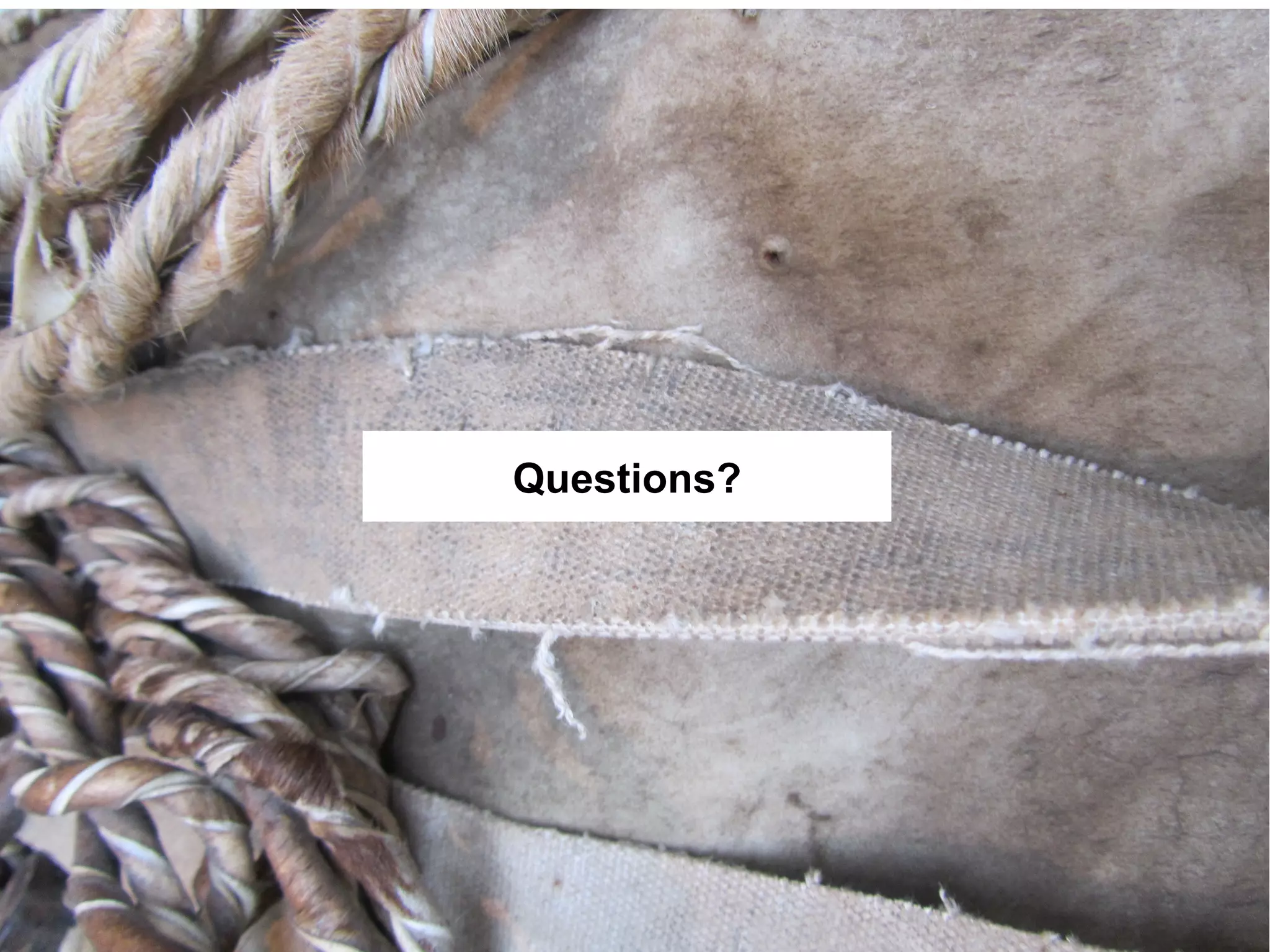 Questions?
 