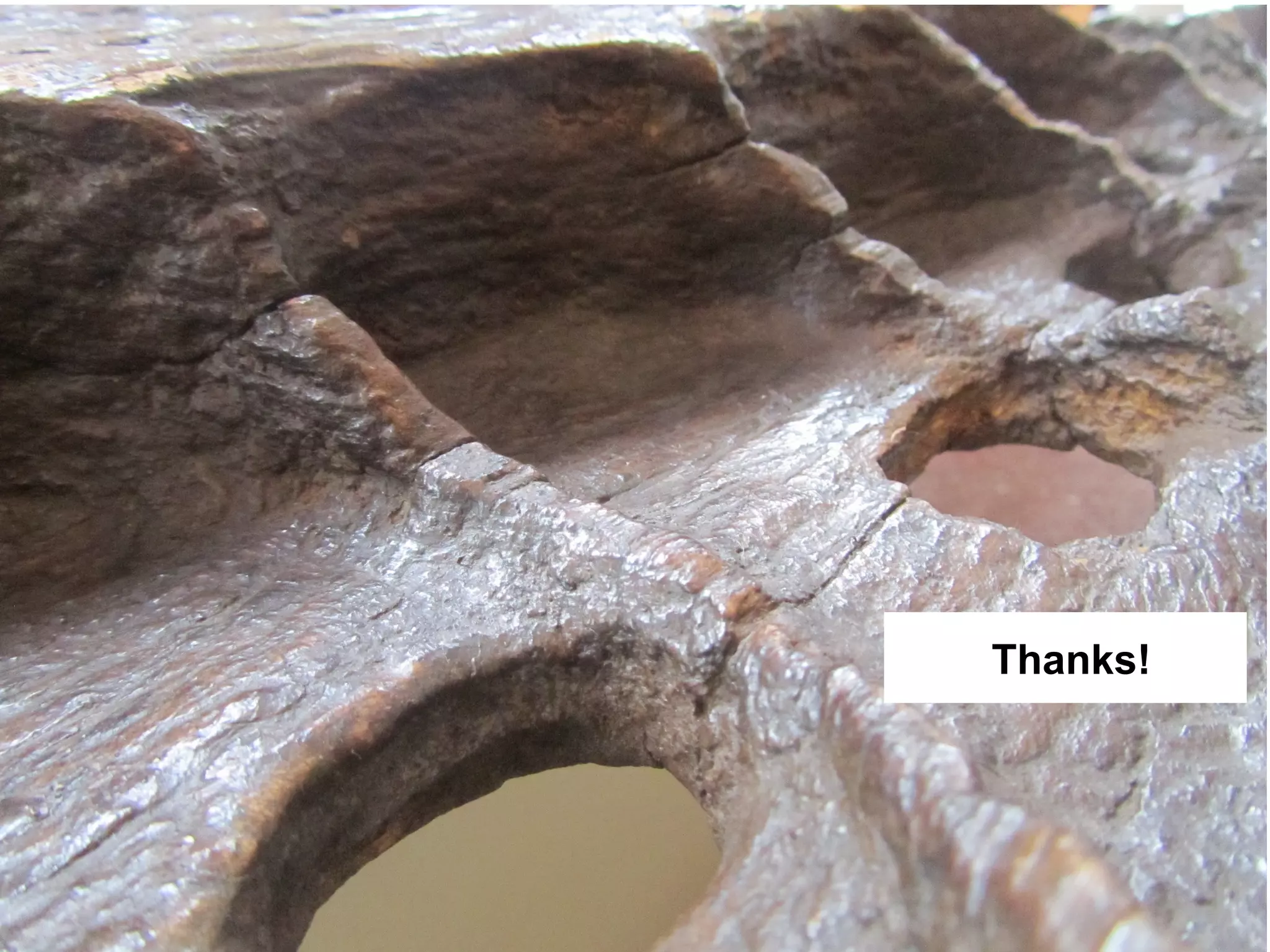 Thanks!
 
