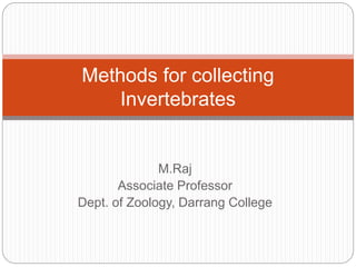M.Raj
Associate Professor
Dept. of Zoology, Darrang College
Methods for collecting
Invertebrates
 
