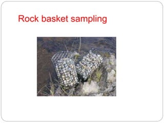 Rock basket sampling
 