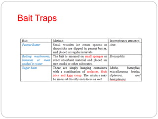 Bait Traps
 