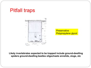 Pitfall traps
Likely invertebrates expected to be trapped include ground-dwelling
spiders ground-dwelling beetles oligocha...