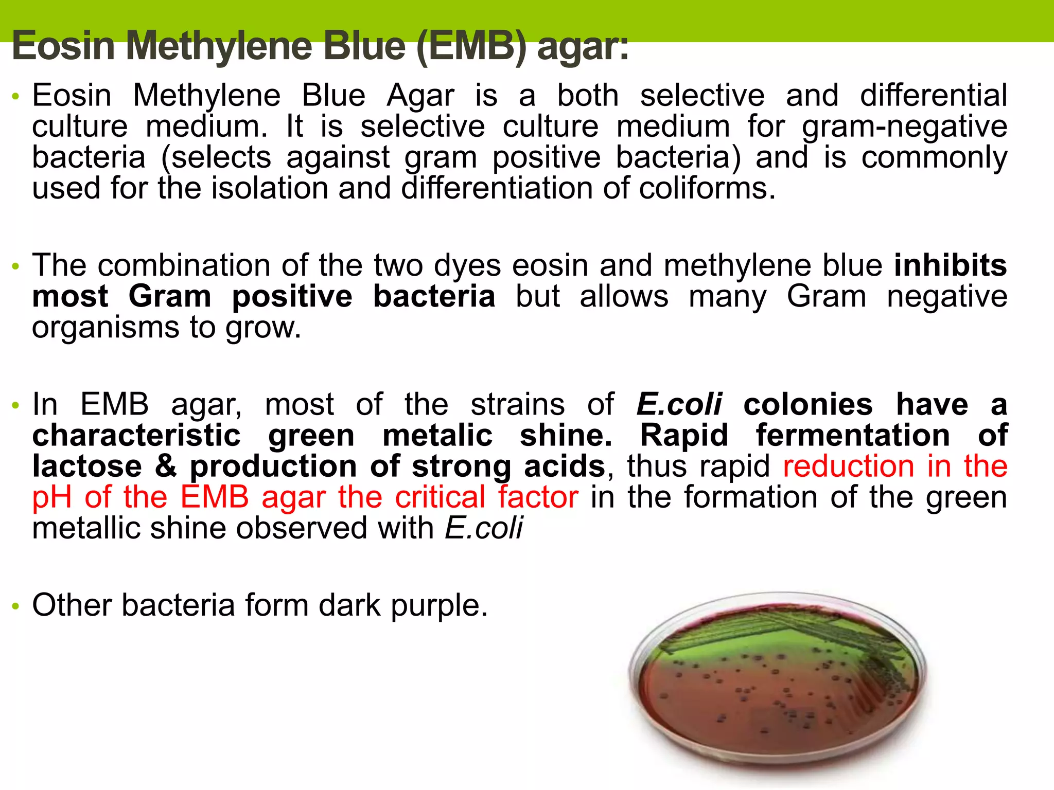 Eosin Methylene Blue (EMB) agar:
• Eosin Methylene Blue Agar is a both selective and differential
culture medium. It is selective culture medium for gram-negative
bacteria (selects against gram positive bacteria) and is commonly
used for the isolation and differentiation of coliforms.
• The combination of the two dyes eosin and methylene blue inhibits
most Gram positive bacteria but allows many Gram negative
organisms to grow.
• In EMB agar, most of the strains of E.coli colonies have a
characteristic green metalic shine. Rapid fermentation of
lactose & production of strong acids, thus rapid reduction in the
pH of the EMB agar the critical factor in the formation of the green
metallic shine observed with E.coli
• Other bacteria form dark purple.
 