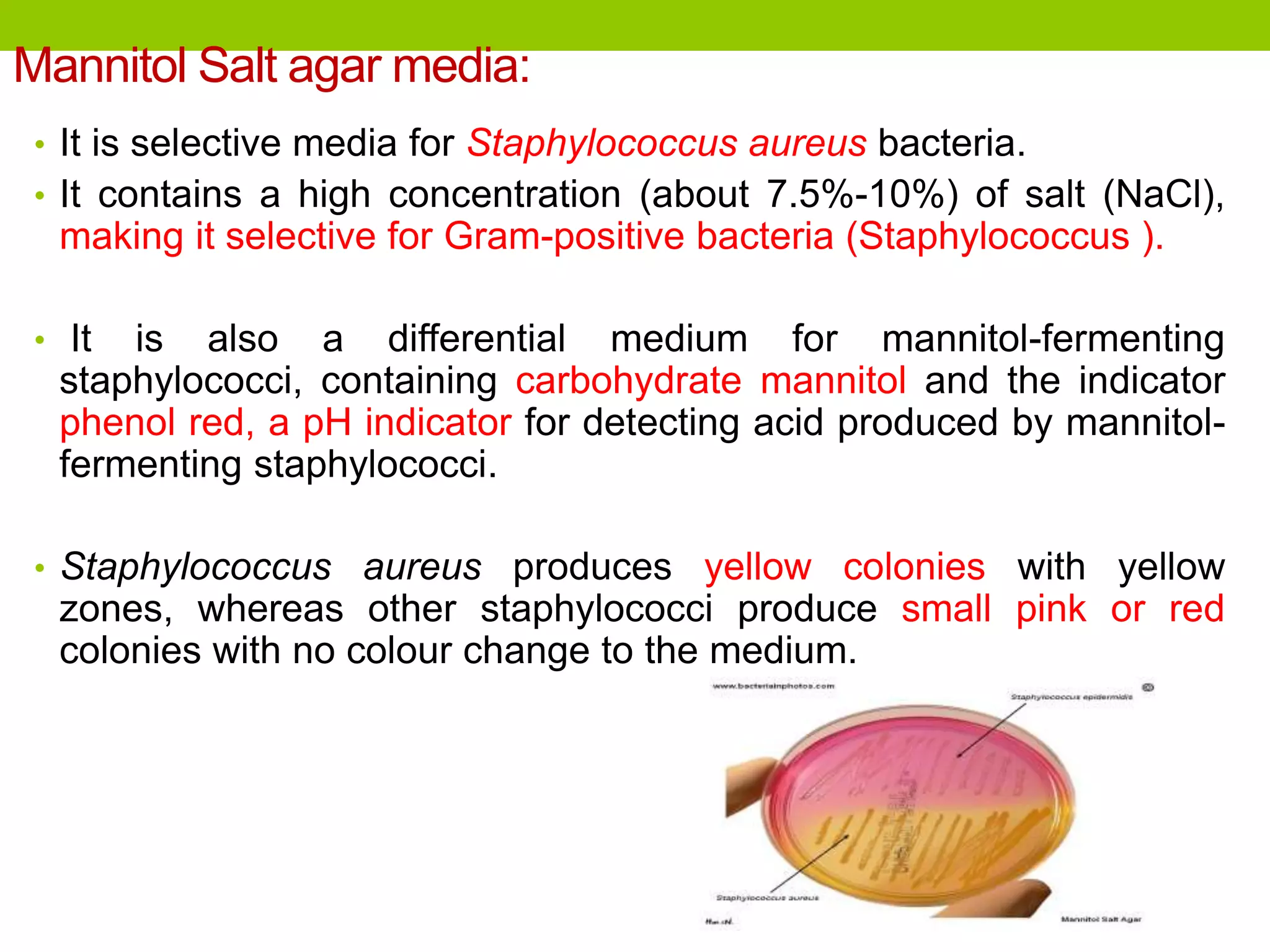 Mannitol Salt agar media:
• It is selective media for Staphylococcus aureus bacteria.
• It contains a high concentration (about 7.5%-10%) of salt (NaCl),
making it selective for Gram-positive bacteria (Staphylococcus ).
• It is also a differential medium for mannitol-fermenting
staphylococci, containing carbohydrate mannitol and the indicator
phenol red, a pH indicator for detecting acid produced by mannitol-
fermenting staphylococci.
• Staphylococcus aureus produces yellow colonies with yellow
zones, whereas other staphylococci produce small pink or red
colonies with no colour change to the medium.
 