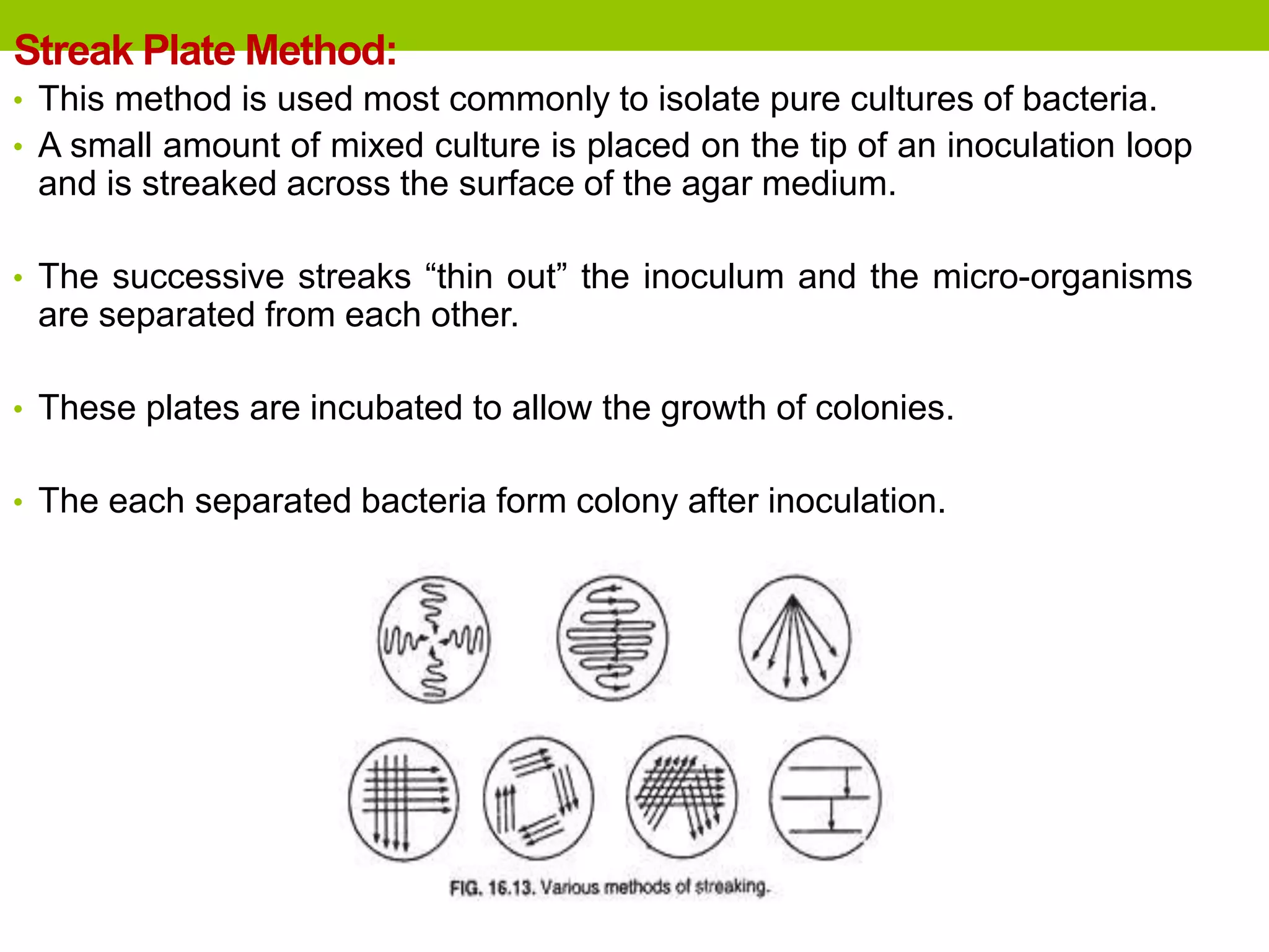 Streak Plate Method:
• This method is used most commonly to isolate pure cultures of bacteria.
• A small amount of mixed culture is placed on the tip of an inoculation loop
and is streaked across the surface of the agar medium.
• The successive streaks “thin out” the inoculum and the micro-organisms
are separated from each other.
• These plates are incubated to allow the growth of colonies.
• The each separated bacteria form colony after inoculation.
 