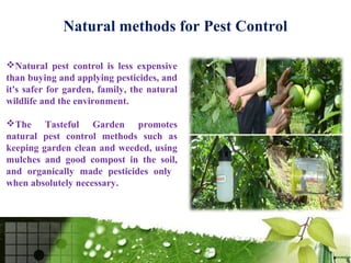 Natural methods for Pest Control

Natural pest control is less expensive
than buying and applying pesticides, and
it's safer for garden, family, the natural
wildlife and the environment.

The Tasteful Garden promotes
natural pest control methods such as
keeping garden clean and weeded, using
mulches and good compost in the soil,
and organically made pesticides only
when absolutely necessary.
 