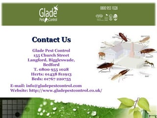 Contact Us
          Glade Pest Control
           155 Church Street
        Langford, Biggleswade,
                Bedford
           T. 0800 955 1028
         Herts: 01438 811913
          Beds: 01767 220755
E-mail: info@gladepestcontrol.com
Website: http://www.gladepestcontrol.co.uk/
 