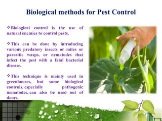 German Cockroach Control Spring Hill