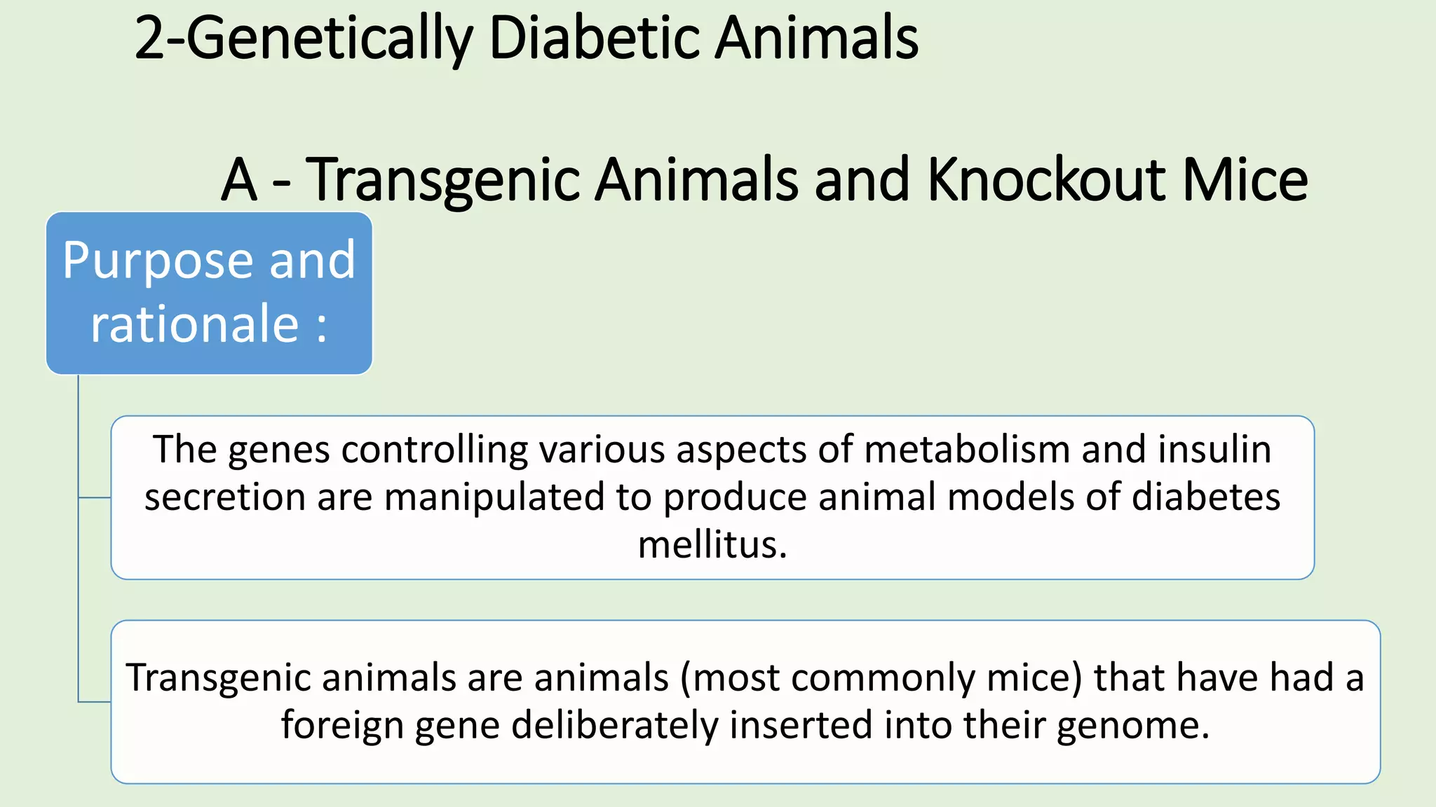 2-Genetically Diabetic Animals
A - Transgenic Animals and Knockout Mice
Purpose and
rationale :
The genes controlling various aspects of metabolism and insulin
secretion are manipulated to produce animal models of diabetes
mellitus.
Transgenic animals are animals (most commonly mice) that have had a
foreign gene deliberately inserted into their genome.
 