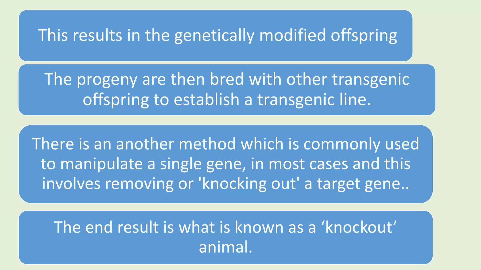 There is an another method which is commonly used
to manipulate a single gene, in most cases and this
involves removing or 'knocking out' a target gene..
The end result is what is known as a ‘knockout’
animal.
This results in the genetically modified offspring
The progeny are then bred with other transgenic
offspring to establish a transgenic line.
 