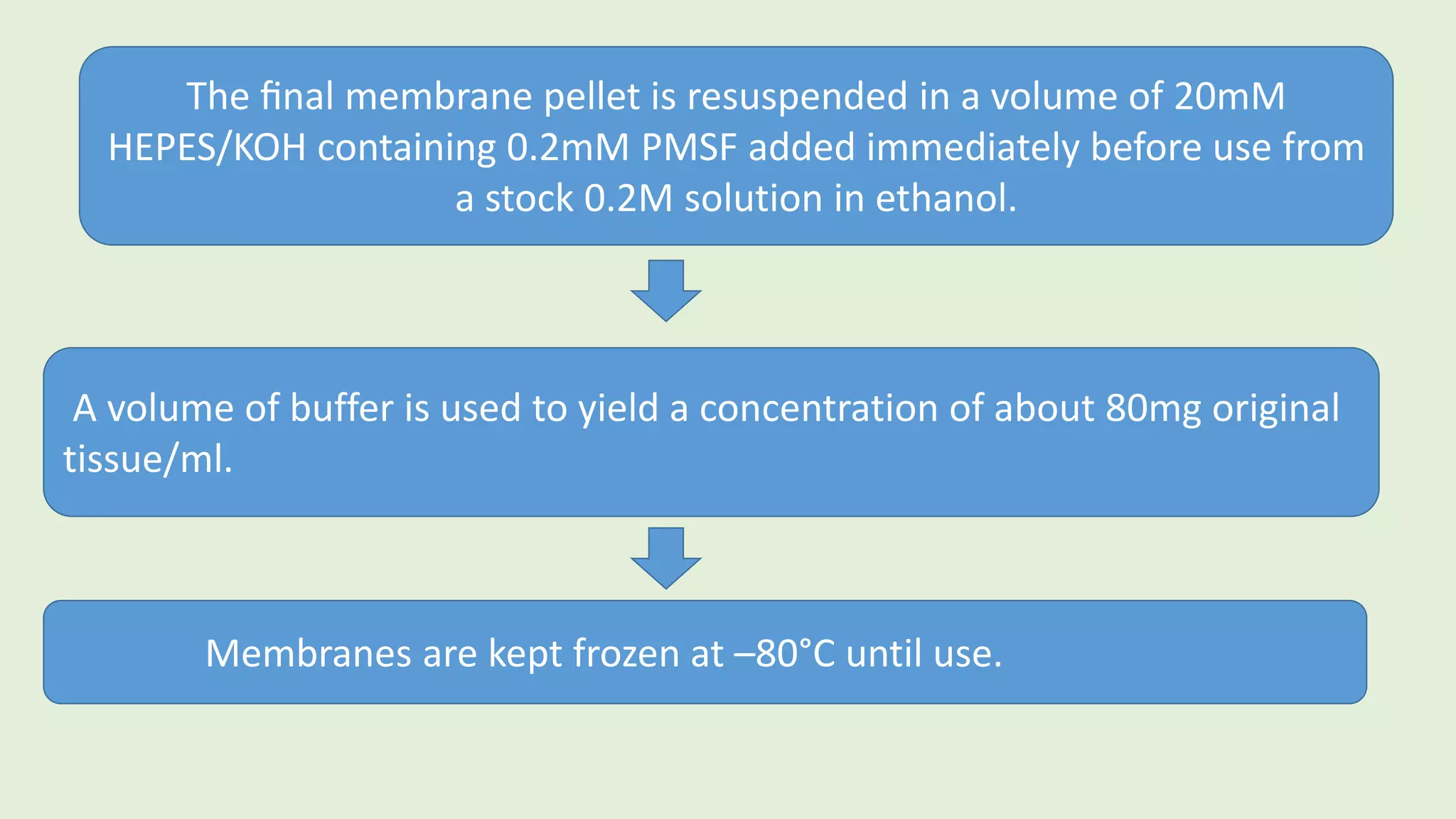 The ﬁnal membrane pellet is resuspended in a volume of 20mM
HEPES/KOH containing 0.2mM PMSF added immediately before use from
a stock 0.2M solution in ethanol.
A volume of buffer is used to yield a concentration of about 80mg original
tissue/ml.
Membranes are kept frozen at –80°C until use.
 