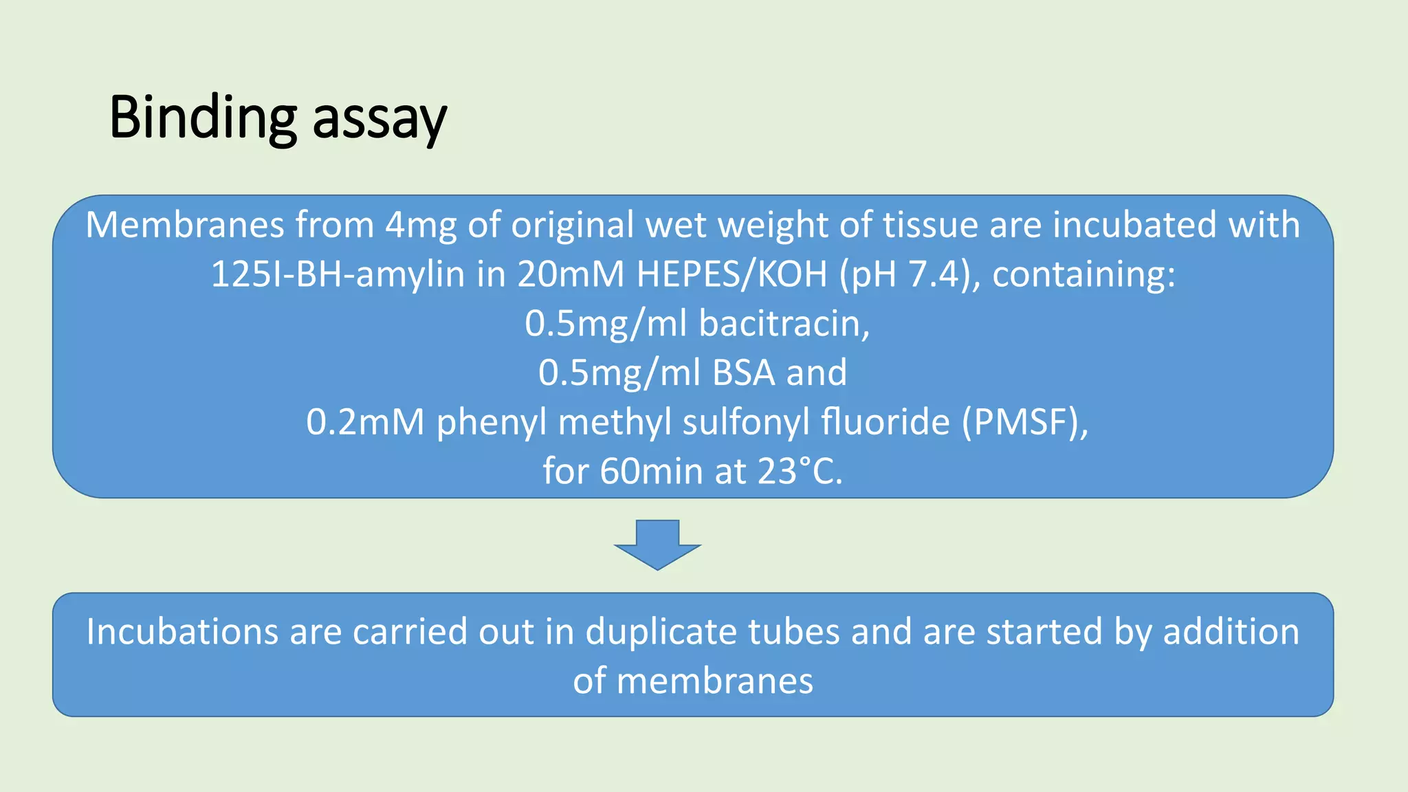 Binding assay
Membranes from 4mg of original wet weight of tissue are incubated with
125I-BH-amylin in 20mM HEPES/KOH (pH 7.4), containing:
0.5mg/ml bacitracin,
0.5mg/ml BSA and
0.2mM phenyl methyl sulfonyl ﬂuoride (PMSF),
for 60min at 23°C.
Incubations are carried out in duplicate tubes and are started by addition
of membranes
 