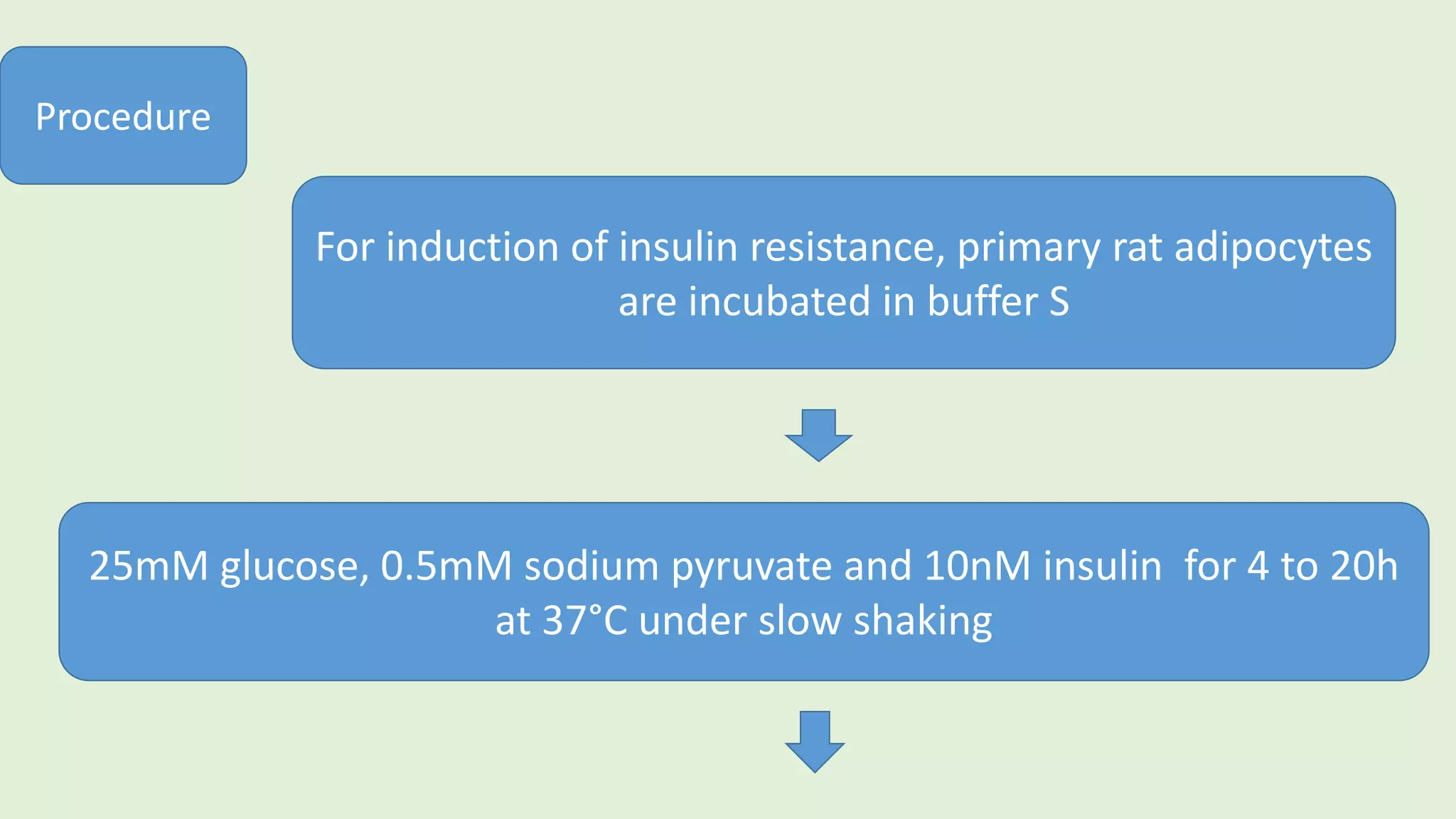 Procedure
For induction of insulin resistance, primary rat adipocytes
are incubated in buffer S
25mM glucose, 0.5mM sodium pyruvate and 10nM insulin for 4 to 20h
at 37°C under slow shaking
 