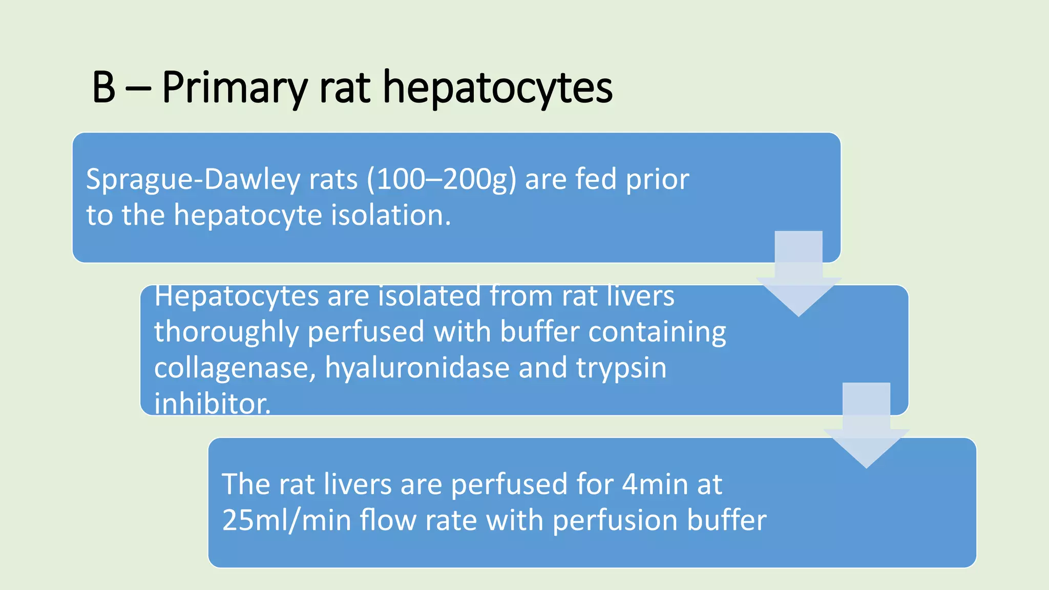 B – Primary rat hepatocytes
Sprague-Dawley rats (100–200g) are fed prior
to the hepatocyte isolation.
Hepatocytes are isolated from rat livers
thoroughly perfused with buffer containing
collagenase, hyaluronidase and trypsin
inhibitor.
The rat livers are perfused for 4min at
25ml/min ﬂow rate with perfusion buffer
 