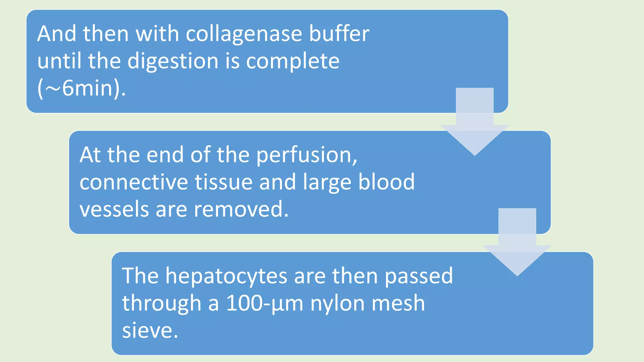 And then with collagenase buffer
until the digestion is complete
(∼6min).
At the end of the perfusion,
connective tissue and large blood
vessels are removed.
The hepatocytes are then passed
through a 100-µm nylon mesh
sieve.
 