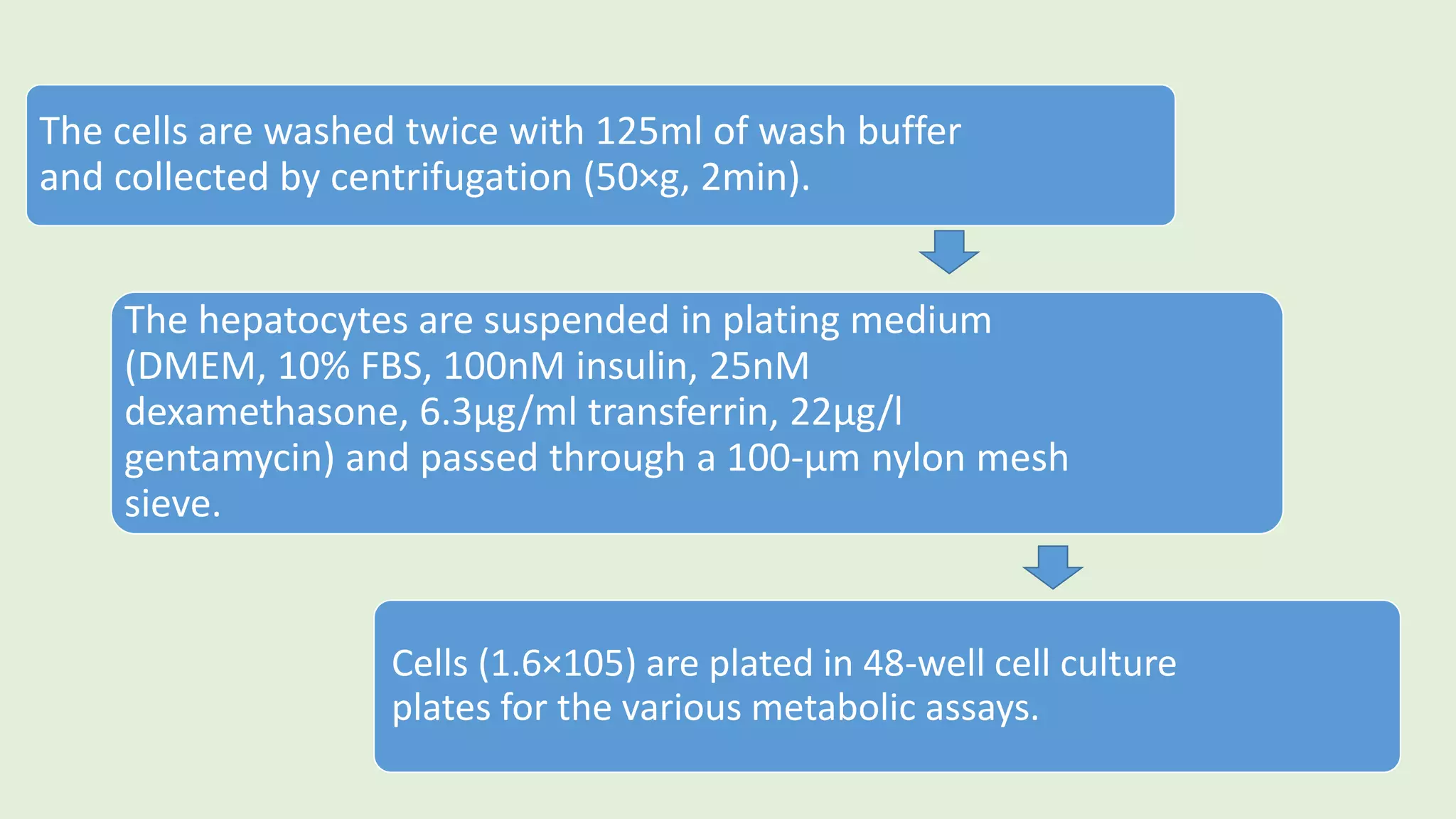 The cells are washed twice with 125ml of wash buffer
and collected by centrifugation (50×g, 2min).
The hepatocytes are suspended in plating medium
(DMEM, 10% FBS, 100nM insulin, 25nM
dexamethasone, 6.3µg/ml transferrin, 22µg/l
gentamycin) and passed through a 100-µm nylon mesh
sieve.
Cells (1.6×105) are plated in 48-well cell culture
plates for the various metabolic assays.
 