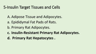 5-Insulin Target Tissues and Cells
A. Adipose Tissue and Adipocytes.
a. Epididymal Fat Pads of Rats.
b. Primary Rat Adipocytes.
c. Insulin-Resistant Primary Rat Adipocytes.
d. Primary Rat Hepatocytes .
 