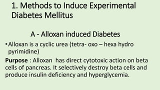 1. Methods to Induce Experimental
Diabetes Mellitus
A - Alloxan induced Diabetes
•Alloxan is a cyclic urea (tetra- oxo – hexa hydro
pyrimidine)
Purpose : Alloxan has direct cytotoxic action on beta
cells of pancreas. It selectively destroy beta cells and
produce insulin deficiency and hyperglycemia.
 