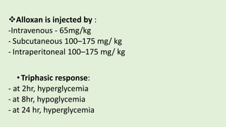Alloxan is injected by :
-Intravenous - 65mg/kg
- Subcutaneous 100–175 mg/ kg
- Intraperitoneal 100–175 mg/ kg
•Triphasic response:
- at 2hr, hyperglycemia
- at 8hr, hypoglycemia
- at 24 hr, hyperglycemia
 