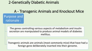 2-Genetically Diabetic Animals
A - Transgenic Animals and Knockout Mice
Purpose and
rationale :
The genes controlling various aspects of metabolism and insulin
secretion are manipulated to produce animal models of diabetes
mellitus.
Transgenic animals are animals (most commonly mice) that have had a
foreign gene deliberately inserted into their genome.
 