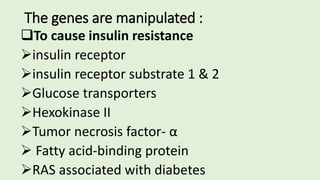 The genes are manipulated :
To cause insulin resistance
insulin receptor
insulin receptor substrate 1 & 2
Glucose transporters
Hexokinase ІІ
Tumor necrosis factor- α
 Fatty acid-binding protein
RAS associated with diabetes
 