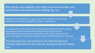 Male Wistar rats weighing 150–200g are fasted overnight and
anesthetized with pentobarbital (40mg/ kg, i.p.).
Catheters are inserted into a jugular vein and a femoral vein for blood
collections and insulin and glucose infusion, respectively.
To evaluate the insulin action under physiological hyperinsulinemia (steady
state plasma insulin concentration during the clamp test around
100µU/dl),and maximal hyperinsulinemia (under which maximal insulin
action may appear) two insulin infusion rates, 6 and 30mU/kg/min, are used.
The blood glucose concentrations are determined from
samples collected at 5-min intervals during the 90-min clamp
test.
 